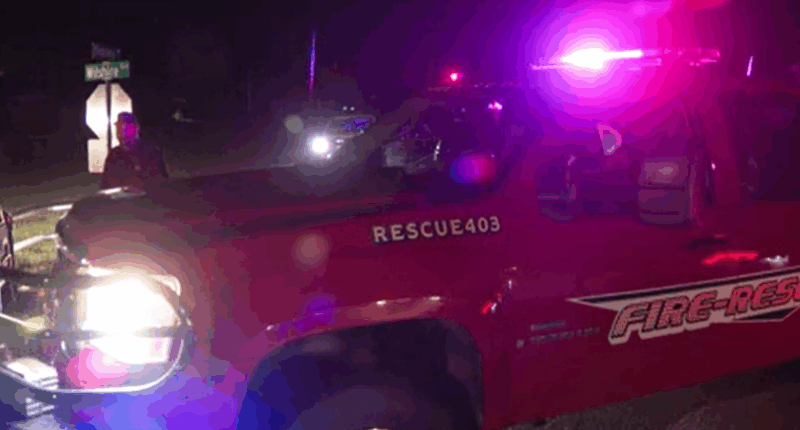 Oklahoma man killed by water buffalo he had just purchased