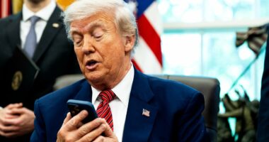 Pentagon insiders set up decoy flights amid fears Trump's Truth Social posts could reveal Iran strike plans