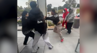 Pokémon card frenzy in Bay Area leads to person stabbed: Police