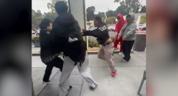 Pokémon card frenzy in Bay Area leads to person stabbed: Police