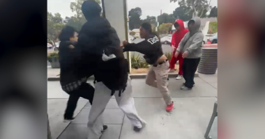 Pokémon card frenzy in Bay Area leads to person stabbed: Police