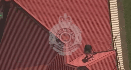 Polair shows man allegedly scaling roof to evade arrest after chase in stolen car