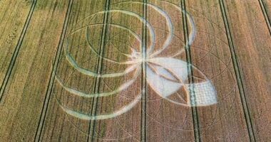 Police probe is launched after farmer's field is damaged by crop circle hoaxers