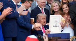 Poll: What Americans think of Trump's megabill