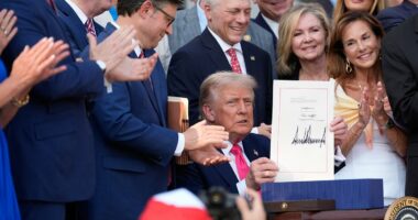 Poll: What Americans think of Trump's megabill