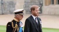 Prince Harry, King Charles' aides meet sparking peace rumors