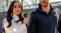 Coming off the back of Prince Harry and Meghan Markle's no-holds-barred interview with Oprah Winfrey in 2021, Spare was billed as a fresh attack on the Royal Family