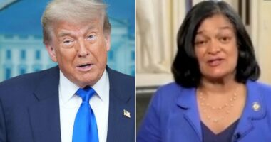 Progressive under fire for calling ICE a 'terrorist force'