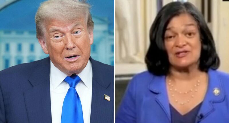 Progressive under fire for calling ICE a 'terrorist force'