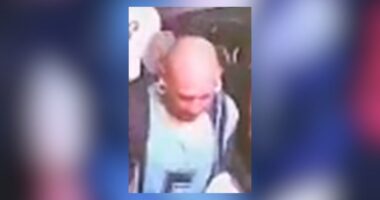 East Hollywood suspected gunman