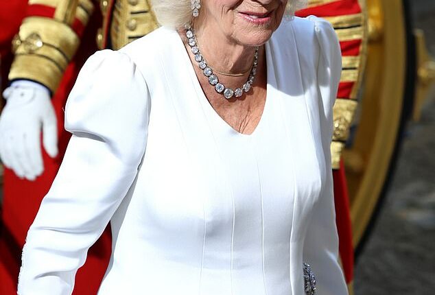 Camilla at the state opening of Parliament in 2024. Queen Camilla faced hostility from much of the population for many years due to the notorious role she played in the breakdown of King Charles ' marriage to Diana