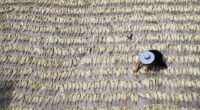Reform, not relief, for China