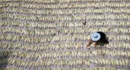 Reform, not relief, for China