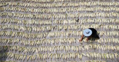 Reform, not relief, for China