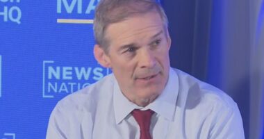 Rep. Jordan says of Epstein files: ‘I have confidence in the president’