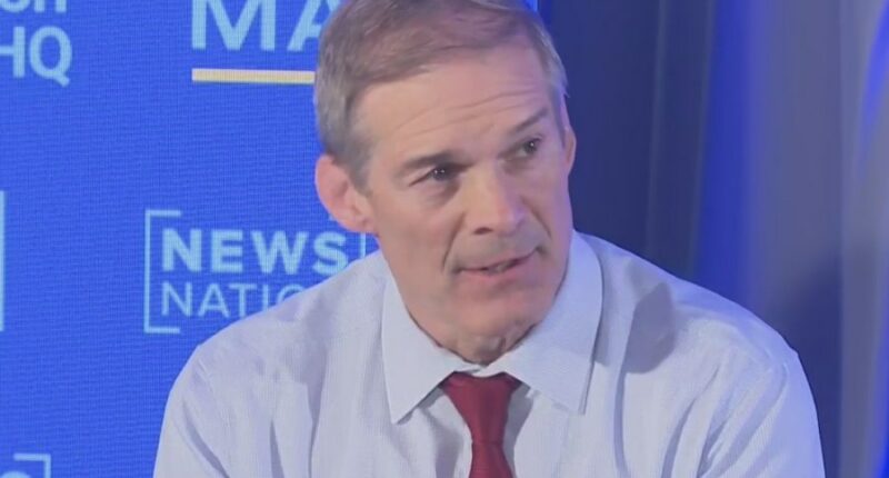 Rep. Jordan says of Epstein files: ‘I have confidence in the president’
