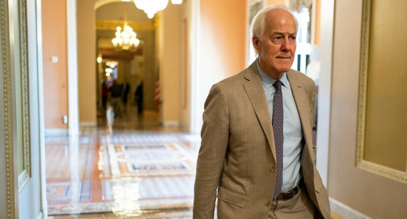 Republicans back Graham, Cornyn’s call for Obama special counsel