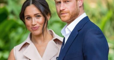 In 2020, the Duke and Duchess of Sussex claimed their decision to 'step back as "senior" members' was to become more financially independent and to enjoy more privacy from the prying eyes of the media