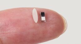 Revealed: The new device smaller than a grain of rice that could save thousands at risk of heart problems... and it can be installed without surgery