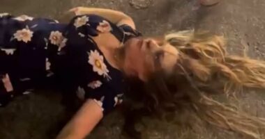 Revealed: Woman brutally attacked in horrific Cincinnati brawl is single mom who was attending party