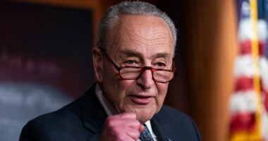 Schumer warns package to claw back funding would 'poison' annual spending talks