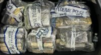 Second man charged over plot to import 140kg of cocaine into Queensland