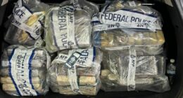 Second man charged over plot to import 140kg of cocaine into Queensland