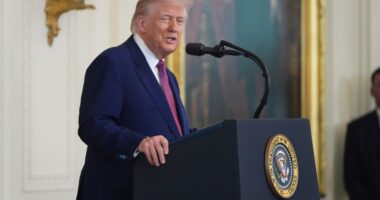 Six months into term, Trump touts 'revived' US as approval dips