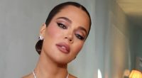 So what HAVE they had done? All the plastic surgeries the Kardashians have admitted to - in their own words