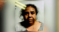 South Los Angeles mother accused of faking immigration 'kidnapping'