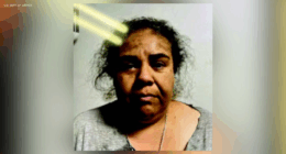 South Los Angeles mother accused of faking immigration 'kidnapping'