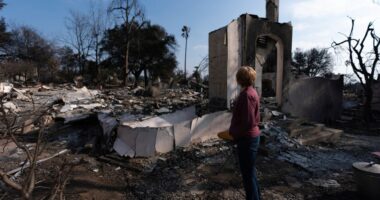 Southern California marks 6 months since devastating wildfires