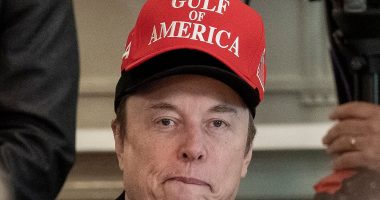 Steve Bannon exposes Elon Musk's 'jaw-dropping hypocrisy'