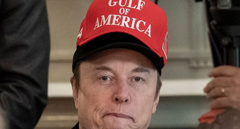 Steve Bannon exposes Elon Musk's 'jaw-dropping hypocrisy'