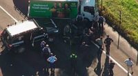 Stolen Woolies truck leads police on chase after driver allegedly assaulted