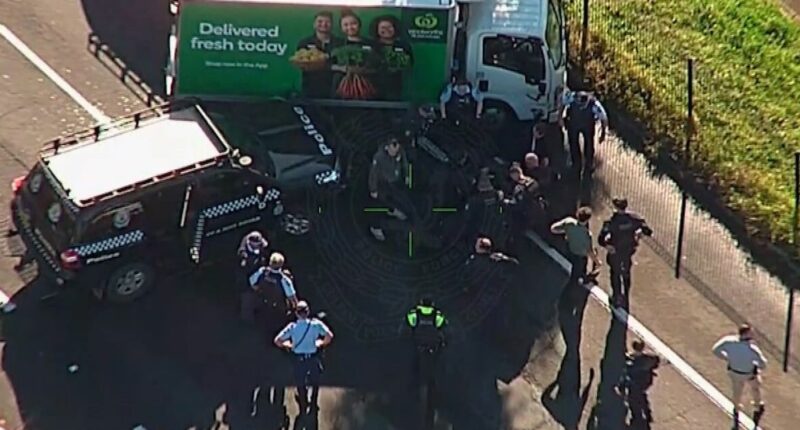 Stolen Woolies truck leads police on chase after driver allegedly assaulted