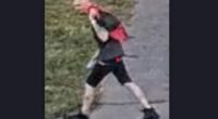 Akron dollar general car theft suspect