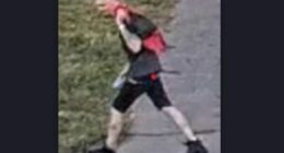 Akron dollar general car theft suspect