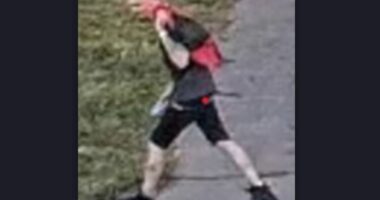 Akron dollar general car theft suspect