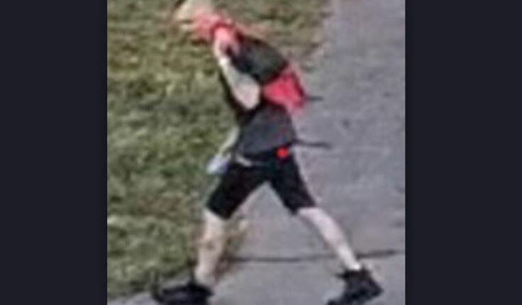 Akron dollar general car theft suspect