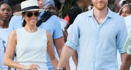 Online conspiracy theorists posted sinister – and often slanderous – comments about the Princess of Wales, some from the Duke and Duchess of Sussex’s most unpleasant fans