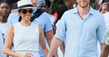 Online conspiracy theorists posted sinister – and often slanderous – comments about the Princess of Wales, some from the Duke and Duchess of Sussex’s most unpleasant fans
