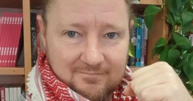 Sydney Harbour Bridge protest: How serial pest Josh Lees - who has never found a fringe protest movement he didn't support (including HARSHER Covid lockdowns!) - is behind push to shut down landmark for Palestine