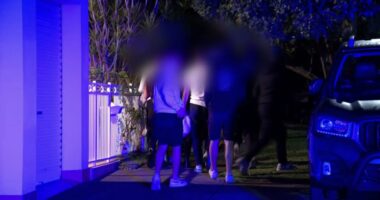 Teen charged over alleged house party stabbing in Sydney