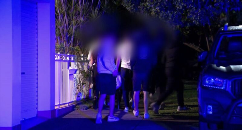 Teen charged over alleged house party stabbing in Sydney