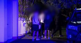 Ten people 'in ski masks' gatecrash party armed with machetes
