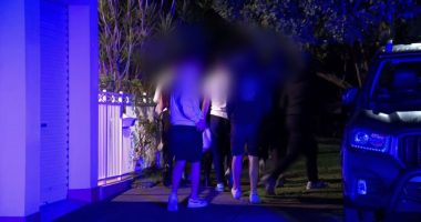 Ten people 'in ski masks' gatecrash party armed with machetes