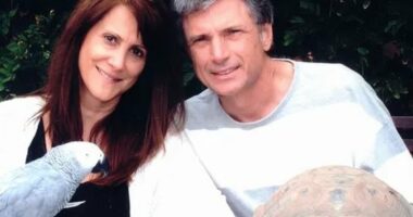 Terrifying theory on why American Idol exec and husband were killed at mansion as cops' blunder is revealed