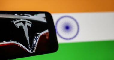 Tesla’s Model Y debuts in India priced at a hefty $70,000