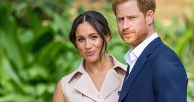Author Tom Quinn claims that Meghan Markle caused a panic during her brief time as a working member of the family when she signaled she wanted to operate separately from the Queen. Here, she is pictured with Prince Harry